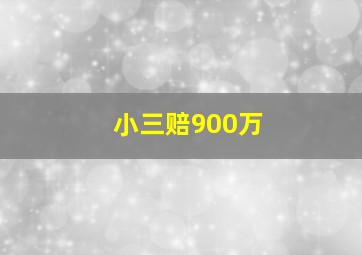 小三赔900万