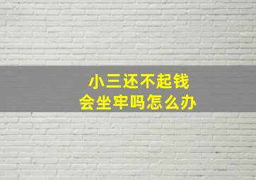 小三还不起钱会坐牢吗怎么办