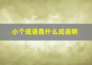 小个成语是什么成语啊