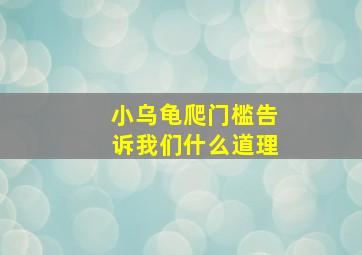 小乌龟爬门槛告诉我们什么道理