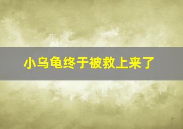 小乌龟终于被救上来了