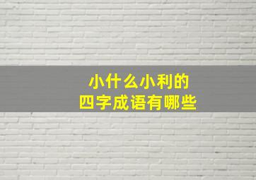 小什么小利的四字成语有哪些