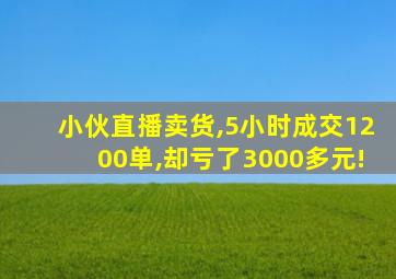 小伙直播卖货,5小时成交1200单,却亏了3000多元!