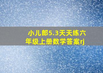 小儿郎5.3天天练六年级上册数学答案rj