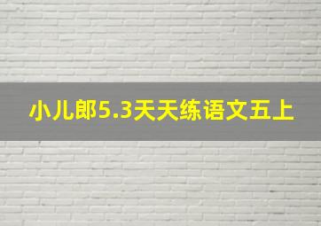 小儿郎5.3天天练语文五上