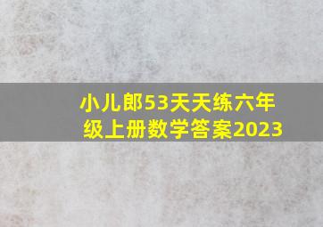 小儿郎53天天练六年级上册数学答案2023