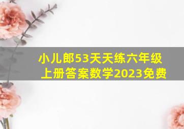 小儿郎53天天练六年级上册答案数学2023免费