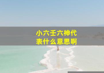 小六壬六神代表什么意思啊