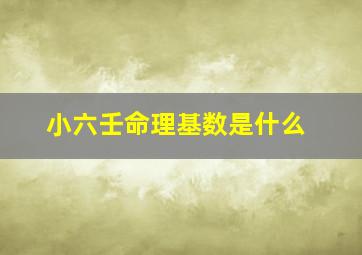 小六壬命理基数是什么