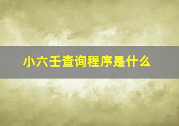 小六壬查询程序是什么