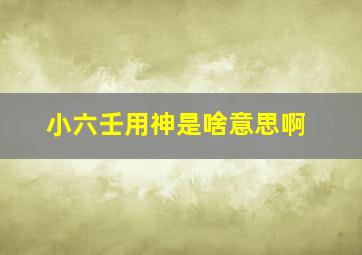 小六壬用神是啥意思啊