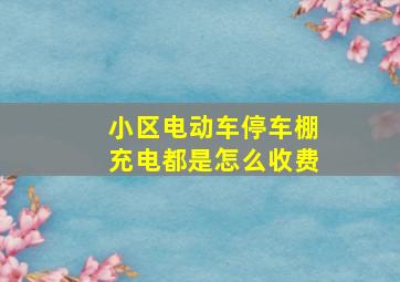 小区电动车停车棚充电都是怎么收费