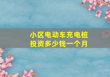 小区电动车充电桩投资多少钱一个月