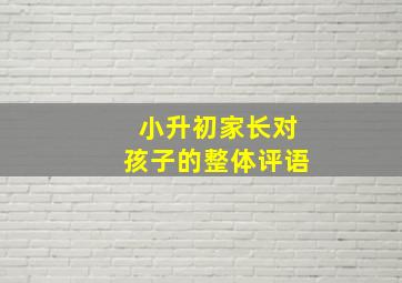 小升初家长对孩子的整体评语