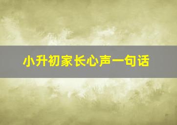 小升初家长心声一句话