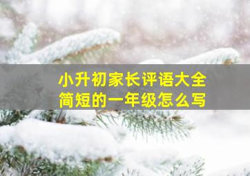 小升初家长评语大全简短的一年级怎么写