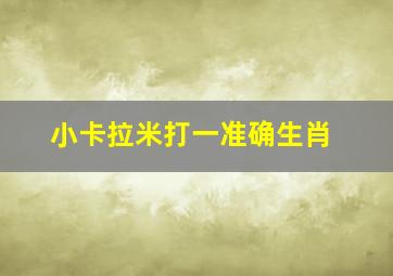 小卡拉米打一准确生肖