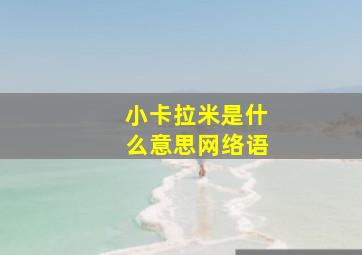 小卡拉米是什么意思网络语