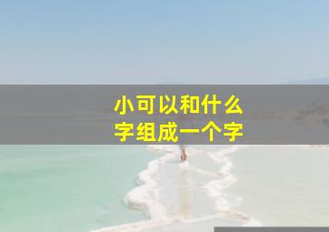 小可以和什么字组成一个字