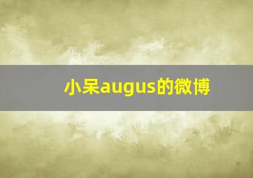 小呆augus的微博