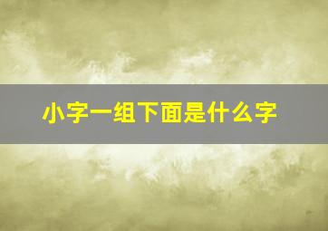 小字一组下面是什么字