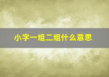 小字一组二组什么意思