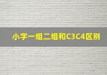 小字一组二组和C3C4区别