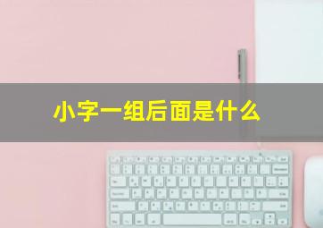 小字一组后面是什么