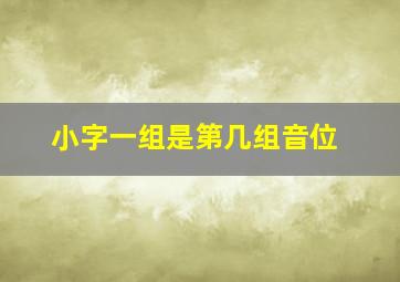 小字一组是第几组音位