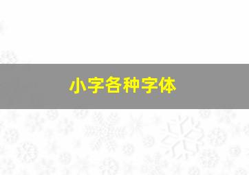 小字各种字体