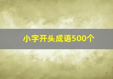 小字开头成语500个