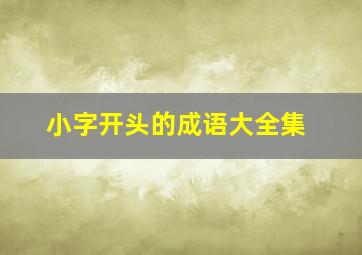 小字开头的成语大全集