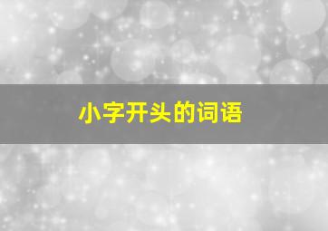 小字开头的词语