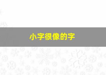 小字很像的字