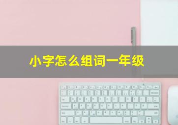 小字怎么组词一年级