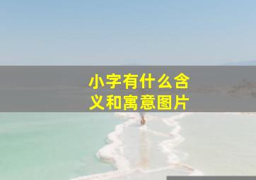 小字有什么含义和寓意图片