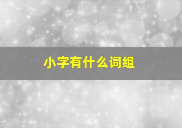 小字有什么词组