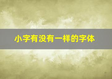 小字有没有一样的字体