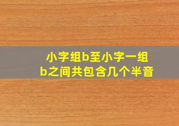 小字组b至小字一组b之间共包含几个半音