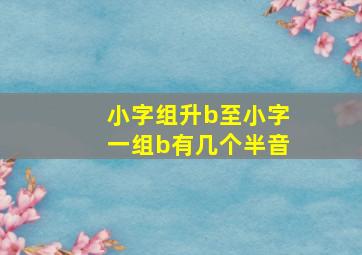 小字组升b至小字一组b有几个半音