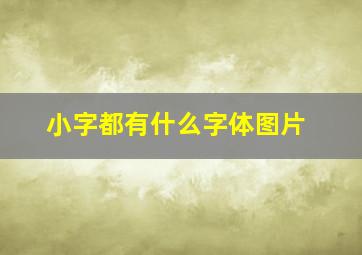 小字都有什么字体图片