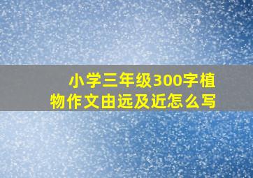 小学三年级300字植物作文由远及近怎么写