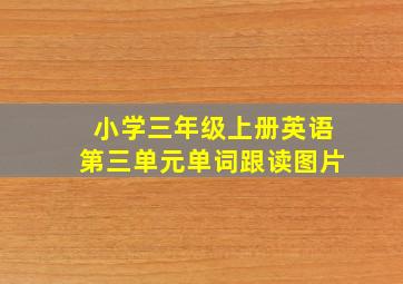 小学三年级上册英语第三单元单词跟读图片