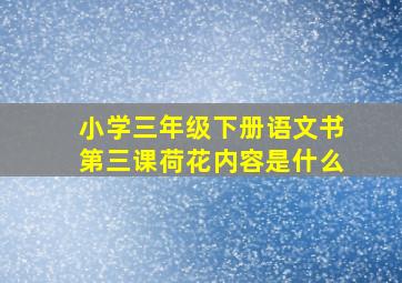 小学三年级下册语文书第三课荷花内容是什么