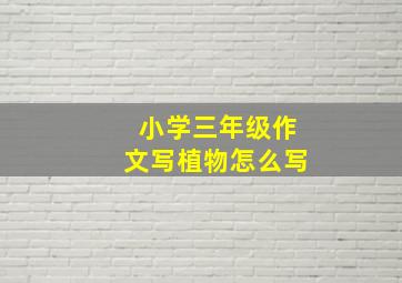 小学三年级作文写植物怎么写