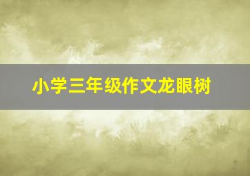 小学三年级作文龙眼树