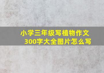 小学三年级写植物作文300字大全图片怎么写