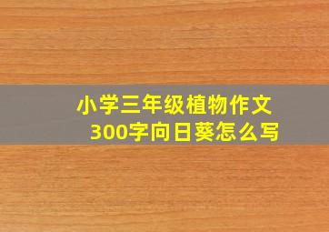 小学三年级植物作文300字向日葵怎么写