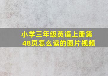 小学三年级英语上册第48页怎么读的图片视频