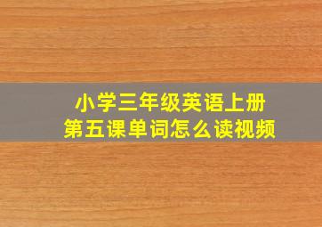 小学三年级英语上册第五课单词怎么读视频